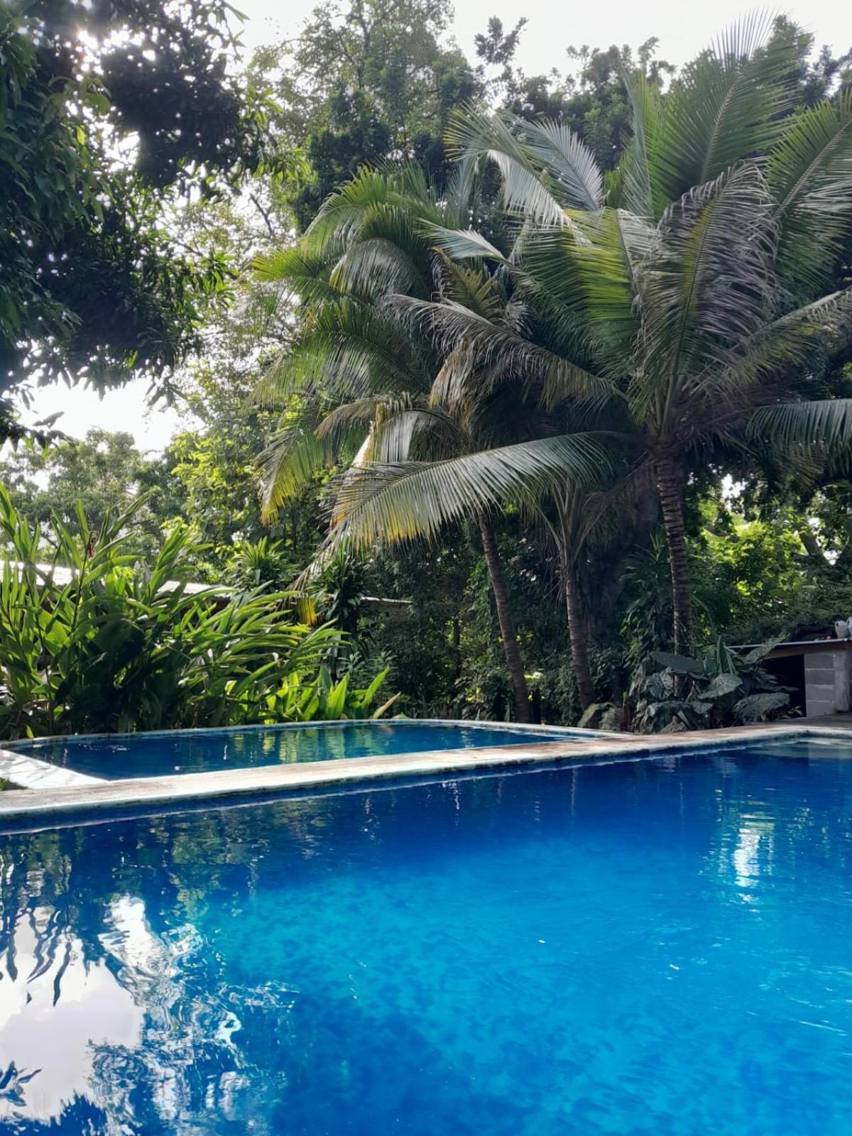 Hammock Plantation Leilighet El Zonte Eksteriør bilde