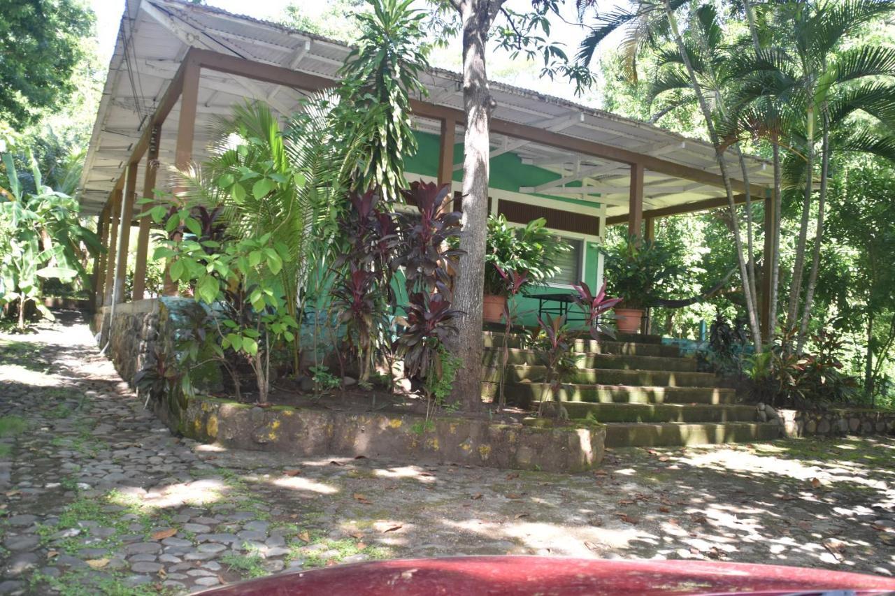 Hammock Plantation Leilighet El Zonte Eksteriør bilde